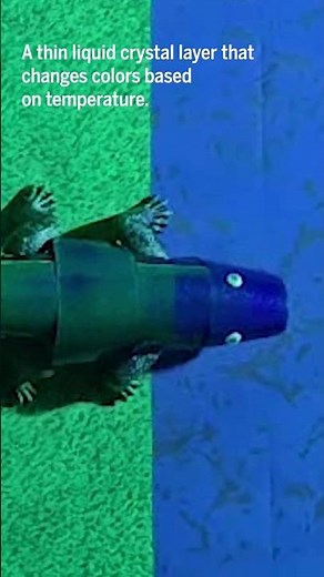 This robot changes color like a chameleon