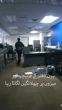 Deer Breaks Into New York Bank | Chaos After Animal Smashes Window and Enters Office