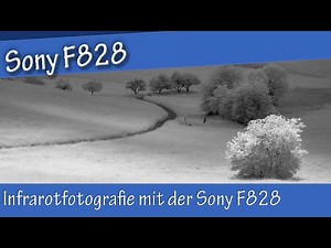 Infrarotfotografie mit der Sony DSC-F828