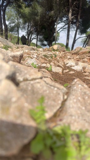 #animals #senderismo #ermita