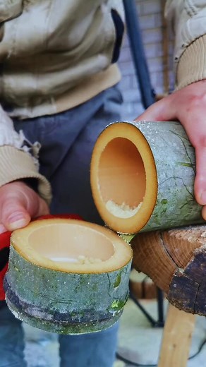Make CupBamboo!! #bamboo #bambooforest #bamboozled #bamboosunglasses #bambooclothing #bambootoothbrush #bambooisland #bamboogrove #bambooshoots #bambootattoo #bamboohouse | 4Day