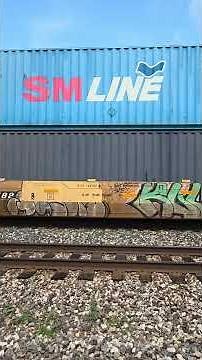 CN 3122, 3026 Westbound intermodal container in well car train at Vicksburg, MI