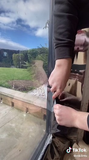 Enhance Privacy with Mirror Tinted Window Film