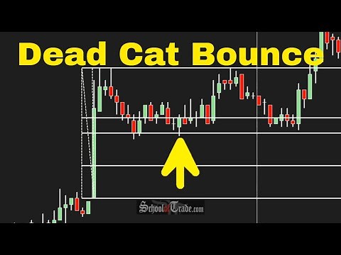 Day Trading The NEWS with a Dead Cat Bounce Pattern; SchoolOfTrade.com