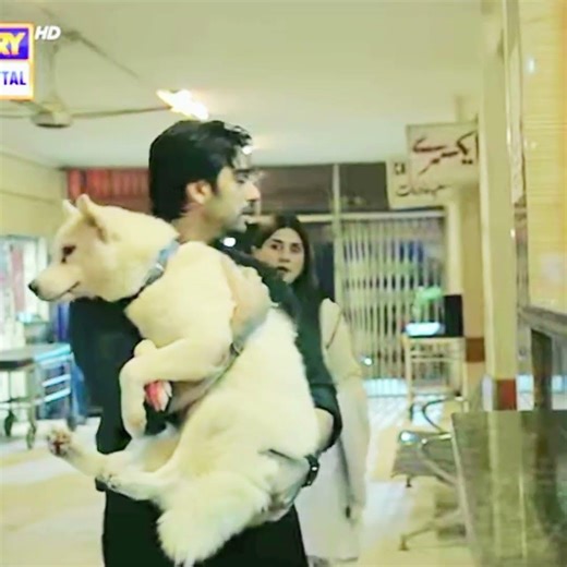 Dr Bahu New Pakistani drama 💘promo#muneebbutt#pakistanidrama #tereish qkenaamnextteaser #pakdrama