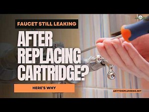 Faucet Still Leaking After Replacing Cartridge? Here’s Why