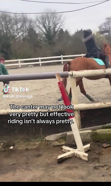 Essential Tips for Effective Dressage Training