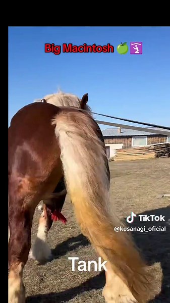 @ChasePear (@chase_pear) - Big Mac from My Little Pony Edits