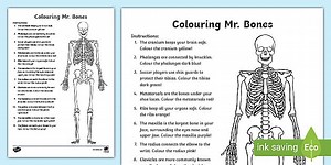 Colouring Mr. Bones Worksheet
