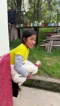 I ate my neighbor's chicken #comedy