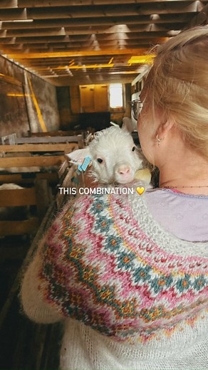 Knitting, Iceland & animals… because why choose just one? 🧶🐴 Picture this: You’re in Iceland, knitting with the softest wool, riding through stunning landscapes, meeting local sheep (the real MVPs of Icelandic wool 🐑), staying at a guesthouse at a horse farm and unwinding in a geothermal spa. Sounds like a dream, right? ✨ 📅 June 12-18, 2025 📩 Email info@hestaland.net to book your spot—before it’s gone! | Hestaland