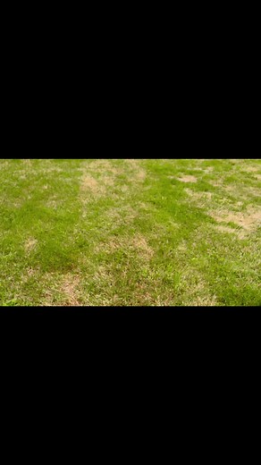 1.8K views · 13 reactions | The EXR-4800 Excavator Brush Mower. #reaperattachments #brushmower #bushhog #landclearing #construction #rotarymower #excavatorattachments #excavator #builttolast | Reaper Attachments | Facebook