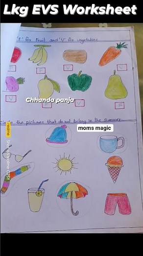 Lkg EVS worksheet for Practice