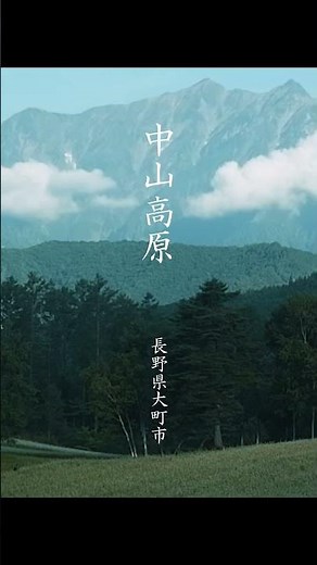 【中山高原・大町市】朝靄に包まれる蕎麦畑｜静寂の風景散歩｜【風景写真を撮りに】