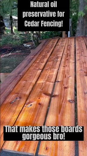 Natural oil staining cedar fence boards