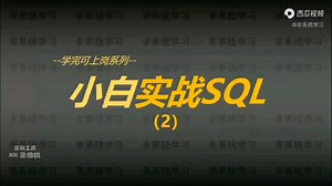 SQL教程 小白实战SQL-002 大白话讲课 看不懂来抽我