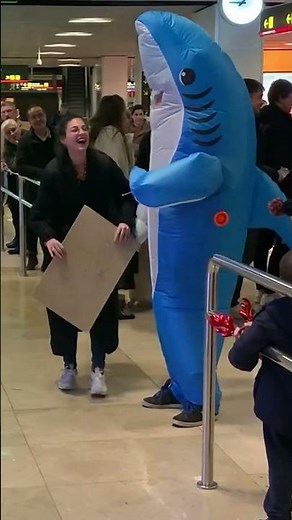 Shark pick up at Airport