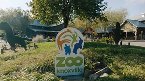 13 reactions | For the love of Knoxville, travel safe. | Visit Knoxville | Facebook