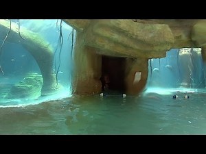 Strange Abyss Water Slide at Atlantis