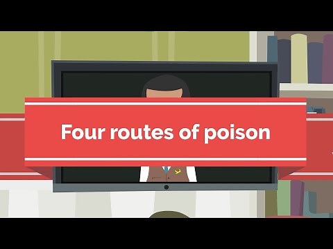 The 4 Routes of Poison
