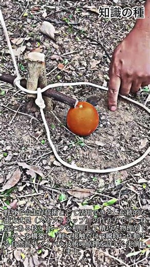 野外サバイバルのための罠（トラップ）の作り方 #survival #bushcraft #trap #outdoors #skills