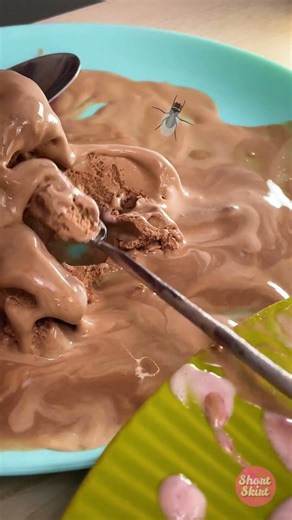 Nobody: ... Me with my best friend:🍦🤣 #candy #prank #icecream