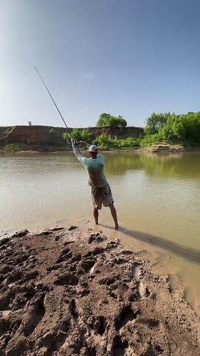 275K views · 2.7K reactions | This Fish Wouldn’t Move  | The Fish Whisperer | Facebook