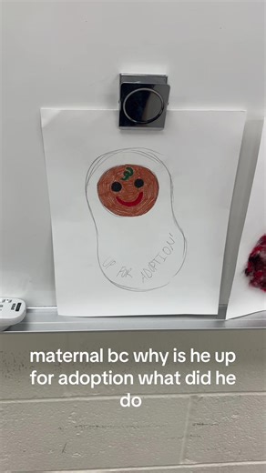 Adoption Heartbreak: A Baby's Cuteness and Story