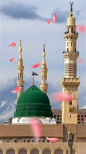 Madina beautiful view-7 picture #madina #shorts