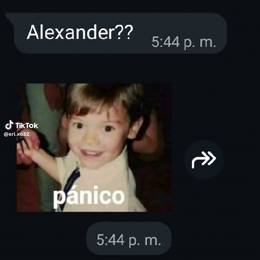 Hamilton Musical: Alexander's Impact