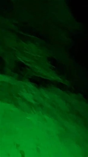 27 reactions | #BRUJA #MUTANTE me #LLEVA con ELLA , parte 2 | VIRUS MV | Facebook