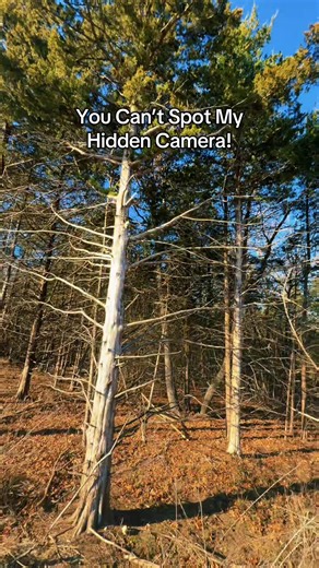 Best Hidden Security Camera for Home Protection