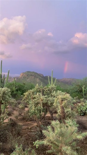 Exploring Color Therapy in Arizona's Nature