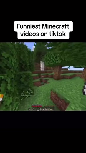 114K views · 4.8K reactions | Funniest Minecraft memes on tiktok!藍 #minecraftmemes #minecraftfunny #minecraft | Minecraft Viral | Facebook