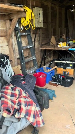 Chicken Barn Windows