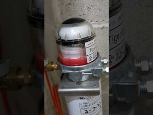 Suntec oil pump w tiger loop shuts off after a couple minutes, lots of air after a while.