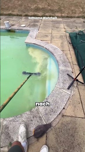 Pool reinigen ohne Wasser abzulassen 💧 #PoolReinigung #Tipps