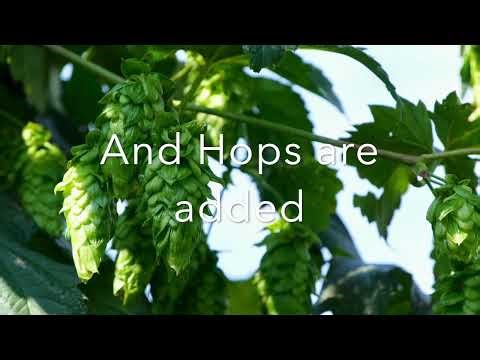 Learn to Make Beer In 5 Minutes