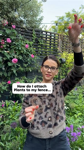 Best Garden Hack… This is how to magically cover your fences and once the wire is there it’s always there! I tie all my climbers and tall perennials to the wire so everything stays in place even in the wind and rain! I use soft ties from homebargains for stems which are fragile and I am LOVING the paper covered wire supports that are from @shell_on_earth Will you try this?? 🌷Comment below if you’d like any of my links sent to you 😘 MEMBERSHIP- Join My Beginner Gardening Club COURSE - Buy my ‘B