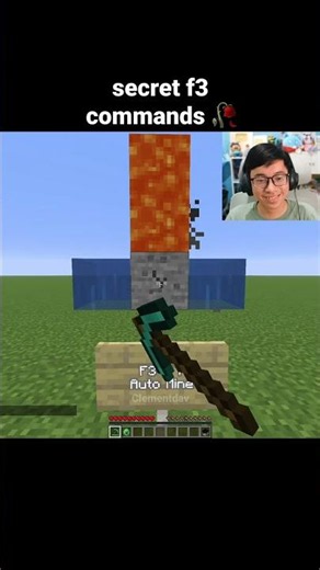 Minecraft Secret F3 Commands Moment