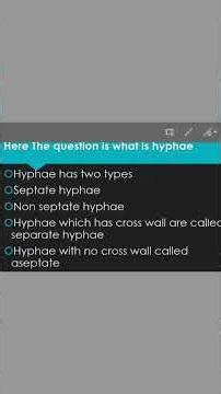 fungus like protists part 1 in English #biology #biologicofficial #science #student