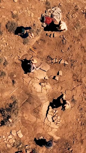 Did you know that ichthyosaurs, ancient marine reptiles, once swam in ocean waters that once covered the Nevada desert? Some of the largest ichthyosaur fossils have been found near the old mining town of Berlin, NV. Millions of years ago, Nevada was covered by a warm sea, and when these giants died their skeletons settled into the ocean floor. As the earth’s continents shifted and time passed, these incredible fossils were preserved and now give us a glimpse into life from a prehistoric world. #