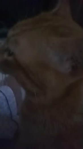 MICHAELA CABALLERO BALDOS