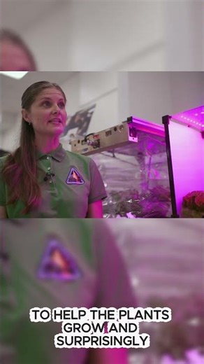 Can plants survive in space? The results surprised many people.
