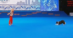 Woman And Dog Earn First Place At World Dog Dance Championship