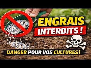 PINCHING CUCUMBERS: THE CRUCIAL MISTAKE that will kill your harvest! My tip after 10 years of