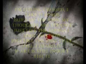 Cold - Bleed Ft. Aaron Lewis (Lyrics)