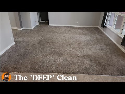 Satisfying Carpet Cleaning: Deep Clean & Urine Treatment with Chem-Dry