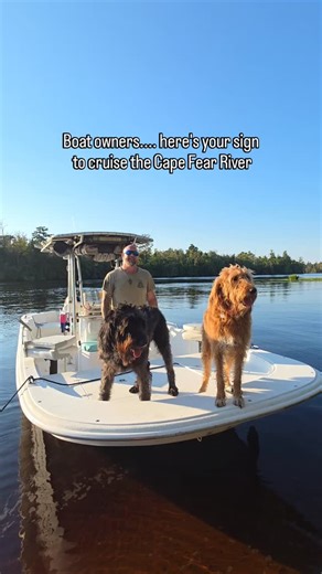 18 reactions · 11 comments |  Boat owners, enjoy day on the Cape...