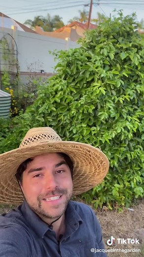 jacquesinthegarden on TikTok